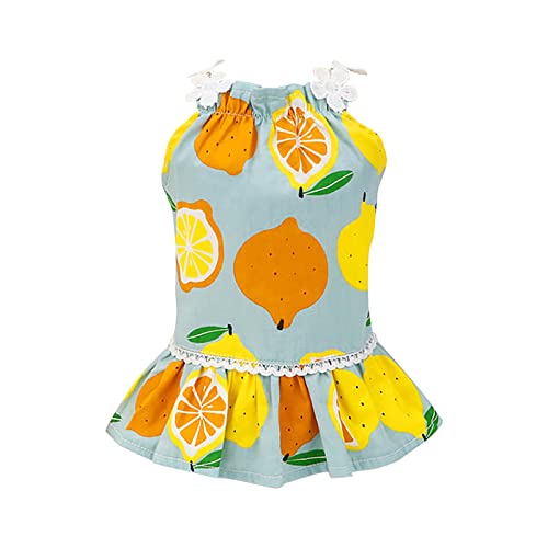 Hunde Frühlingskleid Welpen Kleid Pet Kleider Frühling und Sommer Pet Cothes Frühling und Sommer niedliche Kleider für Haustierbedarf von Caritierily