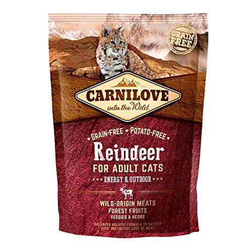 Carnilove Carnilove Reindeer Energy & Outdoor Trockenfutter für Katzen, 400 g, Packung mit 16 x 25 g, insgesamt 400 g von CARNILOVE