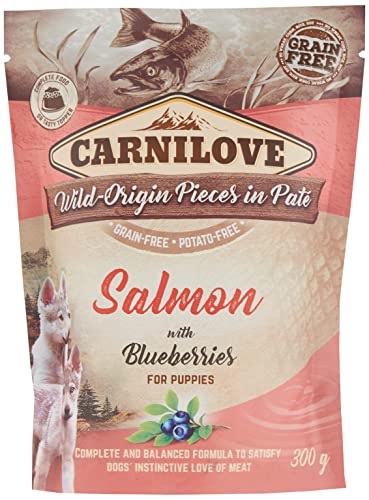 12x300 gr Carnilove Dog Pouch zalm/blauwe BES voor Puppies hondenvoer von CARNILOVE