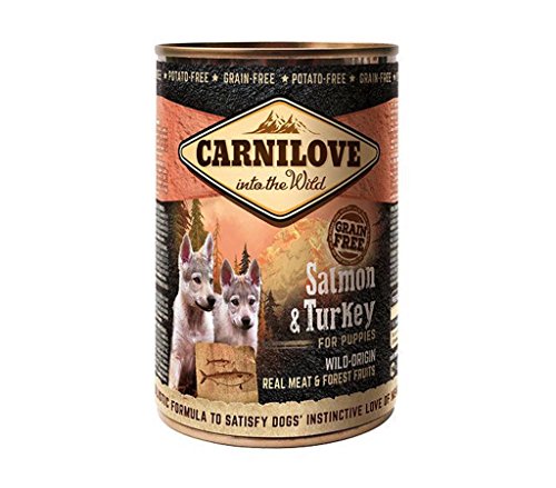 Carnilove Boxen lachs und Truthahn Welpen 6 x 400 g von CARNILOVE