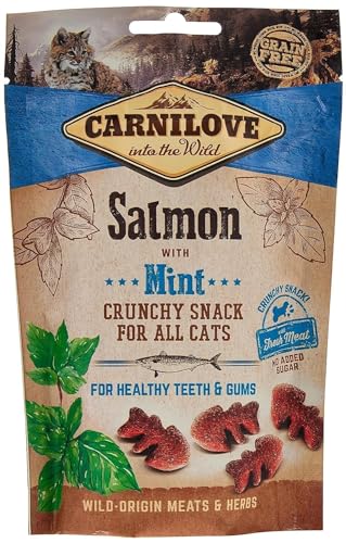 CARNILOVE Feline Crunchy Snack Lachs Minze 50 g von CARNILOVE