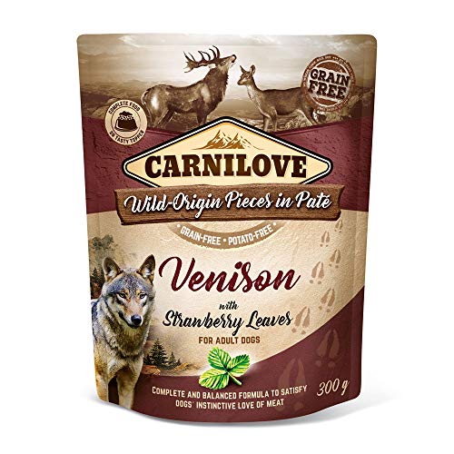 Carnilove Pouch Paté Venison & Strawberry Leaves | 300 g | Alleinfuttermittel für Hunde | Hirsch & Erdbeere | Kartoffel- und Getreidefrei von CARNILOVE