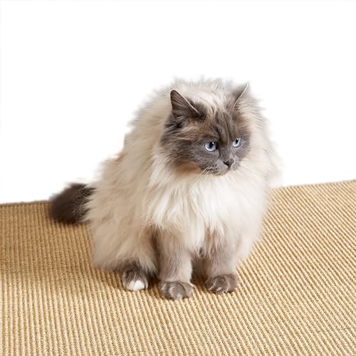 Kratzmatte für Katzen - Fußmatte Sisal Kratzteppich - natürliche Sisalmatte robust - Vorleger 100% Sisal - Katzenkratzmatte Natur 40 x 60 cm 2er Set von Carpido