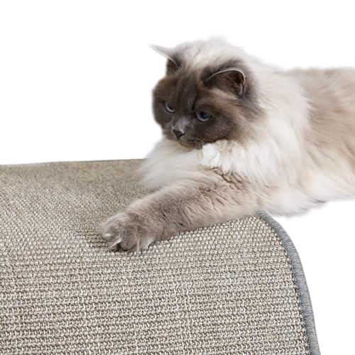 Kratzmatte für Katzen - Fußmatte Sisal Kratzteppich - natürliche Sisalmatte robust - Vorleger 100% Sisal - Katzenkratzmatte grau 60 x 80 cm 2er Set von Carpido