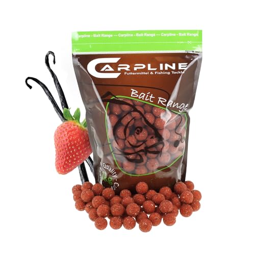 Carpline24 Boilies Erdbeere Scopex 20 mm, 1 kg Beutel - Köder für das Karpfenangeln, Futterboilies zum Anfüttern von Karpfen, Angelfutter mit Lockstoff von Carpline24