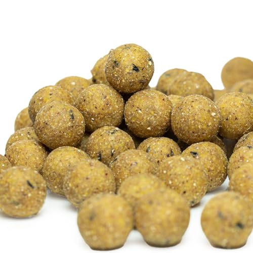 Carpline24 Futterboilies Kokos 16 mm, 5 kg Beutel - Boilies zum Anfüttern von Karpfen, Köder für das Karpfenangeln, Angelfutter sinkend mit Lockstoff von Carpline24