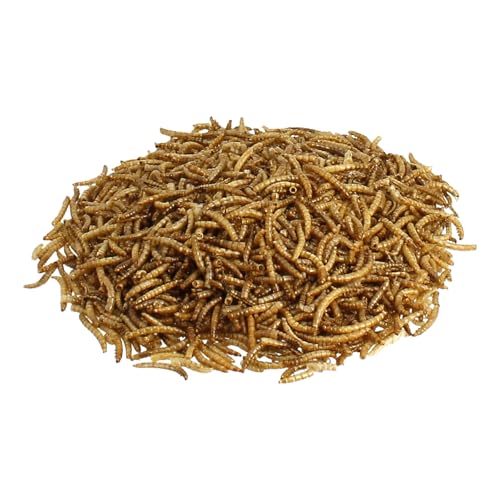 Carpline24 Getrocknete Mehlwürmer 1 kg - Proteinreiche Insekten als Futter für Hühner, Reptilien, Nager, Igel & Fische, Vogelfutter, Winterfutter von Carpline24