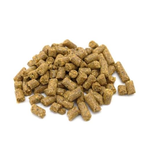 Carpline24 Maispellets Hanf 1 kg Sack - Pellets zum Anfüttern von Karpfen, Angelfutter Gepresst mit Maisöl, Karpfenköder sinkend von Carpline24