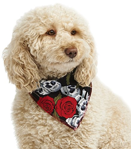 Pet Pooch Boutique Skulls-n-Roses Hot Bandana für Hunde, Größe XS/S von Caseeto