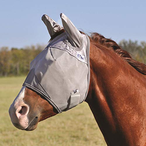 Cashel Kreuzritter Mule Fliegenmaske Standard mit Ohren Mule Weanling Small Esel von Cashel