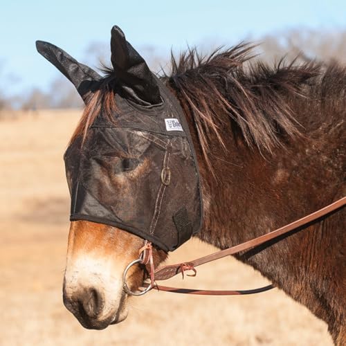 Cashel Quiet Ride Mule Fliegenmaske mit Ohren, Schwarz, Mule Jährling von Cashel