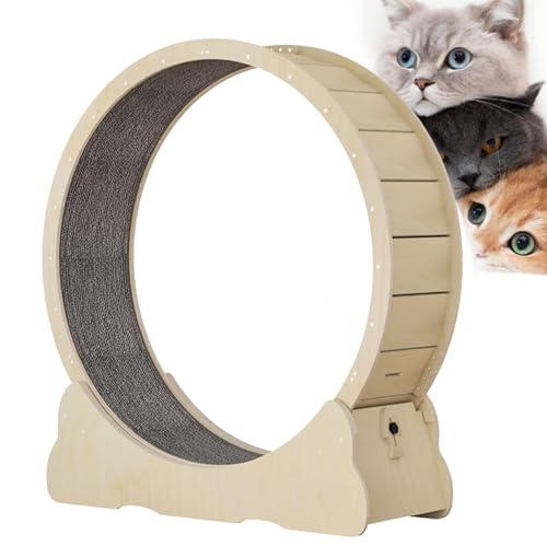 Katzen-Laufband, Innenkatze Spielzeug Katzenlaufrad, Katzenübungsrad mit Teppich Landebahn, No-Gap-Design Katzen Gewichtsverlustgerät für die meisten Katzen körperliche Bewegung Aktivität,Beige-S von Cashwise