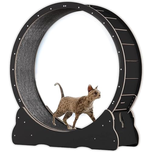 Katzen-Laufband, Innenkatze Spielzeug Katzenlaufrad, Katzenübungsrad mit Teppich Landebahn, No-Gap-Design Katzen Gewichtsverlustgerät für die meisten Katzen körperliche Bewegung Aktivität,Black-S von Cashwise