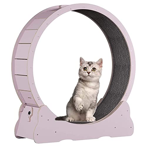 Katzen-Laufband, Innenkatze Spielzeug Katzenlaufrad, Katzenübungsrad mit Teppich Landebahn, No-Gap-Design Katzen Gewichtsverlustgerät für die meisten Katzen körperliche Bewegung Aktivität,Pink-XL von Cashwise