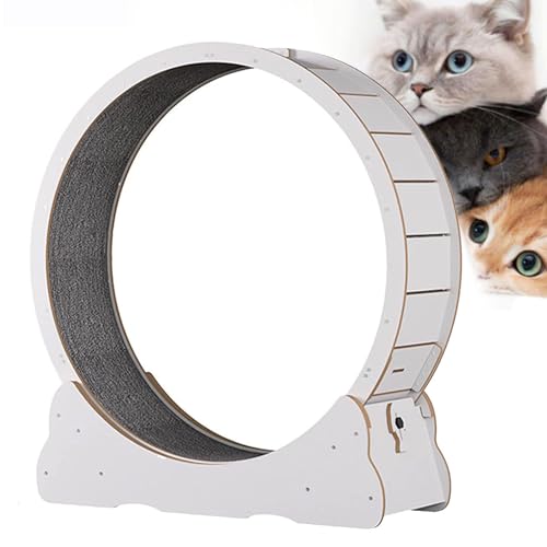 Katzen-Laufband, Innenkatze Spielzeug Katzenlaufrad, Katzenübungsrad mit Teppich Landebahn, No-Gap-Design Katzen Gewichtsverlustgerät für die meisten Katzen körperliche Bewegung Aktivität,White-S von Cashwise