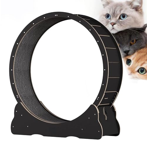 Katzen-Laufband mit No-Gap-Design, Trainingrad für Innenkatzen längere Lebensdauer, Sicherheit Anti-Pinch Stummes Katze Running Rad, Katzen Gewichtsverlustgerät mit Verriegelungsvorrichtung,Black-XL von Cashwise