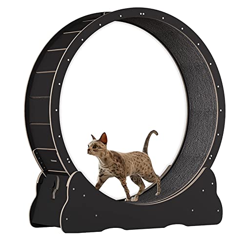 Katzenübungsrad, Haustierkatze Kletterrahmen Laufband mit No-Lack-Design und Verriegelungsgerät, Katzenkratzplatte für kleine/mittelgroße Haustier-Innenübungen, Glatte Lauf frei,Black-S von Cashwise