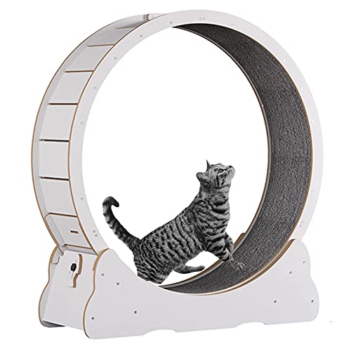 Katzenübungsrad, No-Gap-Design Katzen-Laufband, natürliches massives Holzkatze Laufrad mit Schlössern und Teppich, Katzenlaufmaschine für Gewichtsverlust oder energetische Katze,White-M von Cashwise