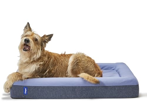 Casper Hundebett aus Plüsch-Memory-Foam, Größe S, Blau von Casper