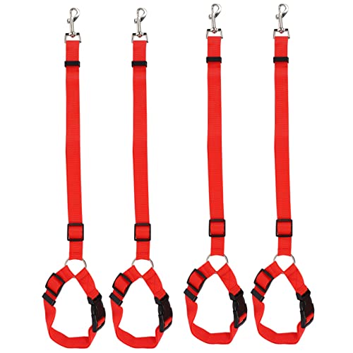 Casstad Sicherheitsgurt für Hunde und Katzen, verstellbar, Nylon, Rot, 4 Stück von Casstad