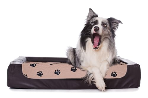 Waschbar Haustier-Urinunterlage,75x90 cm Wiederverwendbare Welpenunterlagen Matte für Hunde, Schnell Absorbierend Puppy Pads für Hunde, Katzen, Meerschweinchen (CA7710/Pfötchen) von Castejo