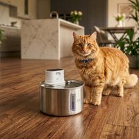 Cat Mate 2,2-Liter kabelloser Katzen-Trinkbrunnen aus Edelstahl Cat Mate 2,2-Liter kabelloser Katzen-Trinkbrunnen aus Edelstahl von Cat Mate