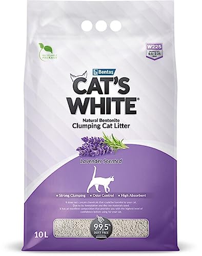 Cat's White Duftende Katzentoilette mit Lavendelduft, für Katzen, Geruchsabnahme für Katzen und Kätzchen, 10 l von Cat's White