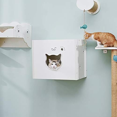 CatS Design Katzen Kletterwand große Katzen stabil- Wandkratzbaum-Wandliege- Wandhöhle- Wandkorb-Wandpark-Wandbett-Kletterstufen-Katzenhöhle-Wandelemente F2 von CatS