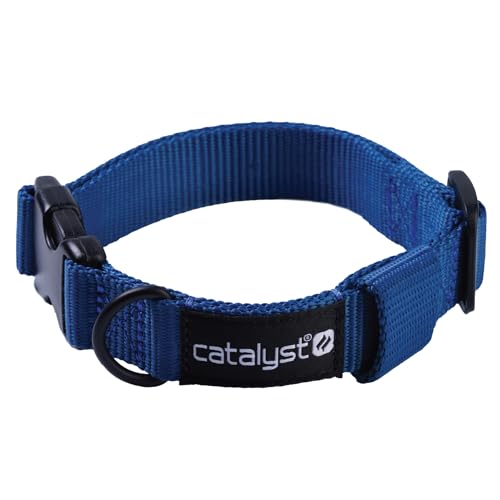 Catalyst Hundehalsband für Air Tag (Blau, Extra Groß) von Catalyst