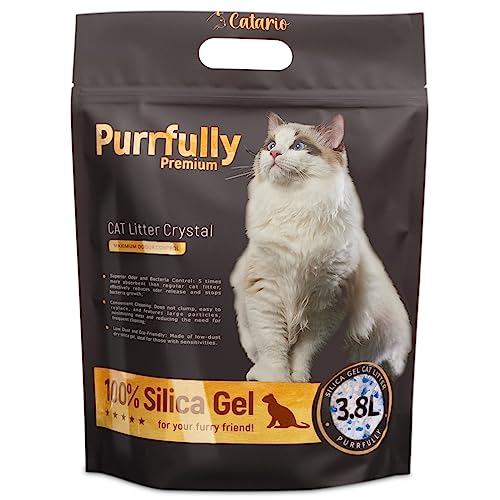 Catario Purrfully Silikat-Katzenstreu - Maximale Geruchskontrolle, 5X Höhere Saugfähigkeit, Antibakteriell, Staubfrei, Monatlicher Wechsel, Sanft für Allergiker, Praktische Verpackung 3,8L von Catario