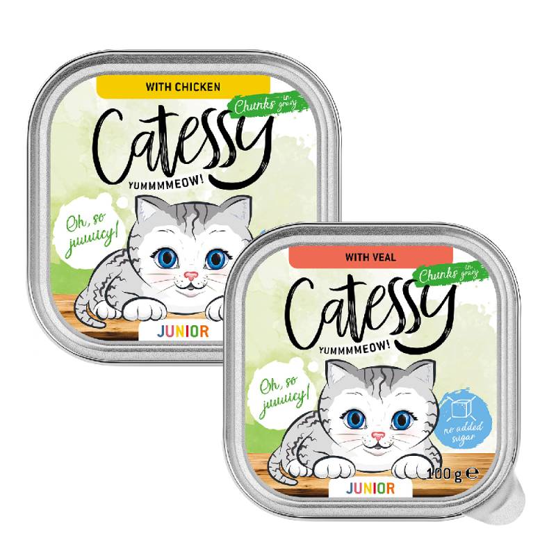 Catessy Junior-Häppchen in Sauce Mix mit 2 Sorten - 16 x 100 g von Catessy