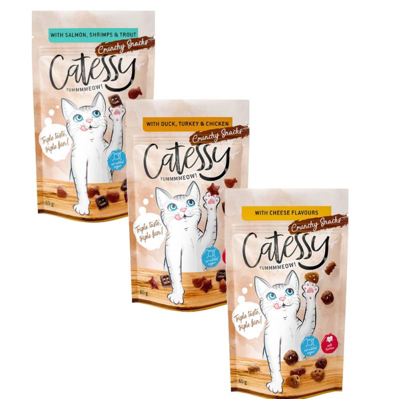 Sparpaket Catessy Knuspersnacks 15 x 65 g - Mix mit 3 Sorten von Catessy