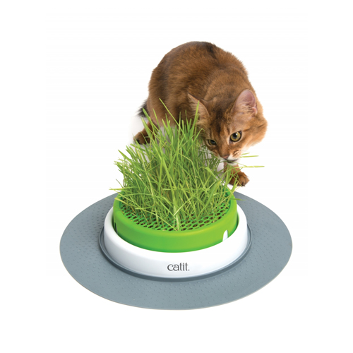 Catit Senses 2.0 Grastopf - Grassamenset von Catit Design