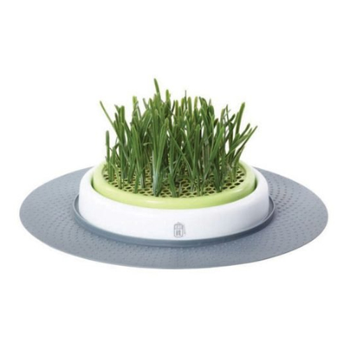 Catit Senses Katzengrassamenset von Catit Design