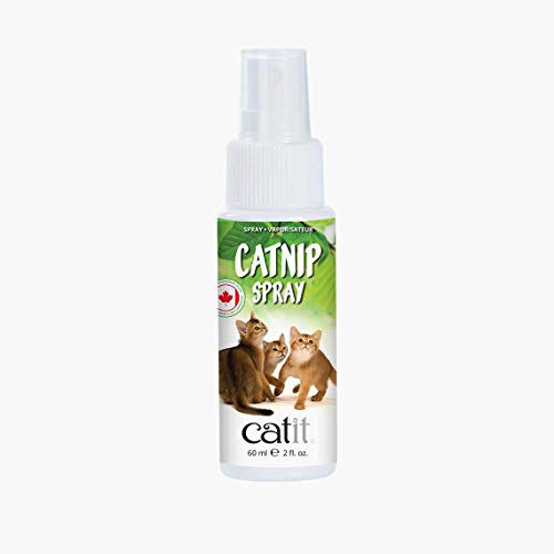 Catit Catnip/Katzenminze Spray für Katzen, 60 ml von Catit
