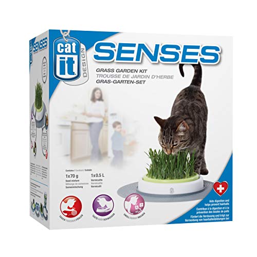 Catit Design Senses Gras Garten, Katzengras, 707.6 g (1er Pack) von Catit