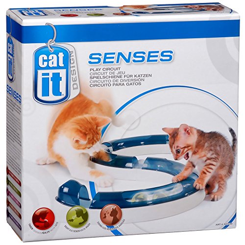 Catit Design Senses Spielschiene, Play Circuit, inklusive Ball, für Katzen, 1 Stück (1er Pack) von Catit