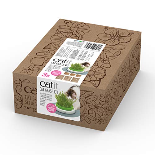 Catit Katzengrassamen, Katzengras, 3er Pack von Catit