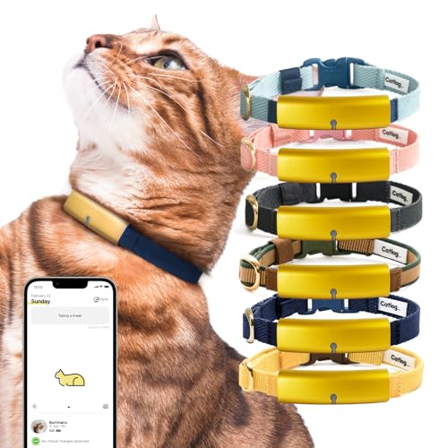 Catlog Intelligentes Halsband (R2-D2-Design, L) – Intelligentes Halsband für Indoor-Katzen, Gesundheits-Tracker, Verfolgung von Live-Verhalten, Energieverlust, tägliche Kalorieneinsicht von Catlog