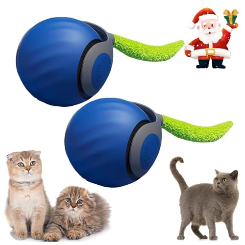 Speedy Tail 2.0, Interactive Cat Toys for Indoor Cats, Automatic Cat Toy, Speedy Tail Cat Toy, Smart Cat Toy, Interactive Cat Toy Ball Two Speed Adjustment (Blue*2) von Cautorsy