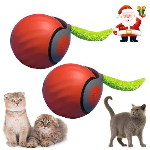 Speedy Tail 2.0, Interactive Cat Toys for Indoor Cats, Automatic Cat Toy, Speedy Tail Cat Toy, Smart Cat Toy, Interactive Cat Toy Ball Two Speed Adjustment (Orange*2) von Cautorsy