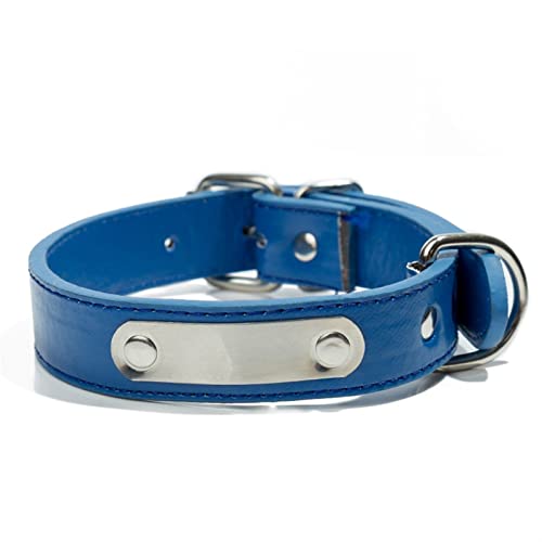 Basic Collars Hundehalsband, personalisierbar, für große und kleine Hunde, mit Adressanhänger, für Haustiere, Katzen, Halsband (Farbe: Blau, Größe: L) von Cavanu