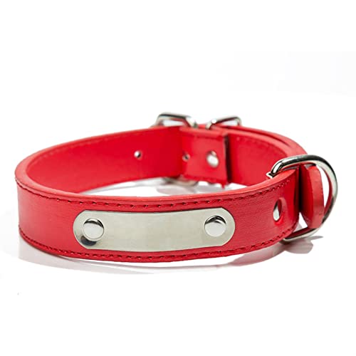 Basic Collars Hundehalsband, personalisierbar, für große und kleine Hunde, mit Adressanhänger, für Haustiere, Katzen, Halsband (Farbe: Rot, Größe: XL) von Cavanu