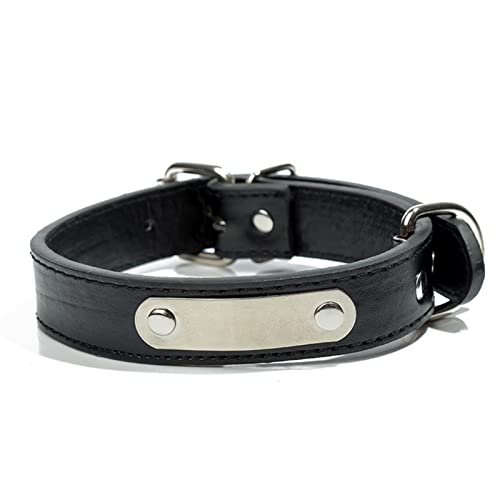 Basic Collars Hundehalsband, personalisierbar, für große und kleine Hunde, mit Adressanhänger, für Haustiere, Katzen, Halsband (Farbe: Schwarz, Größe: L) von Cavanu