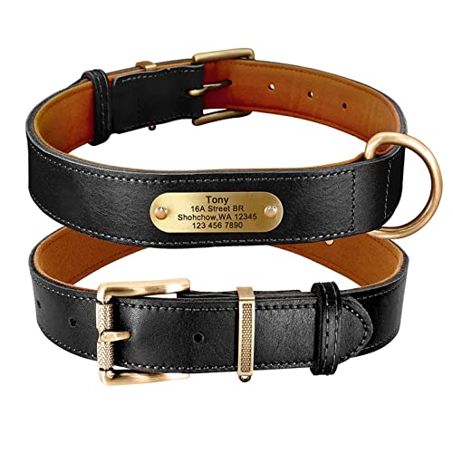 Basic Collars Hundehalsband aus Echtleder, personalisierbar, mit Gravur und Namensschild (Farbe: Schwarz, Größe: M) von Cavanu