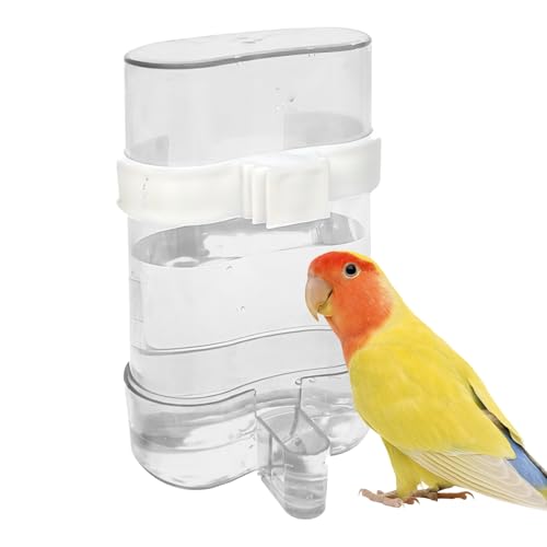 Vogel-Wasserspender, Vogelkäfig-Wasserspender, automatischer Vogelfutterspender, Papageienfutter, Wasserspender für Kleintiere, Papageien, Kanarienvögel, Wellensittiche, Nymphensittiche (transparent) von CavspkArt