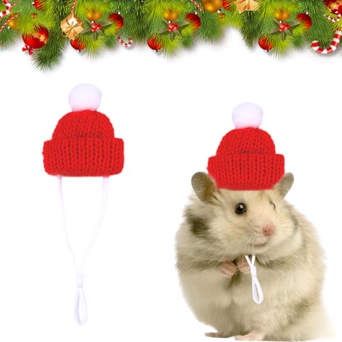 Weihnachtsmütze für Kleintier Hand gestrickt, Niedliche Mini Weihnachtsmütze für Haustier, Weihnachten Hamster Hut einstellbar, Kleintier Weihnachten Kostüm für Hamster Kaninchen Eidechse Igel von CavspkArt