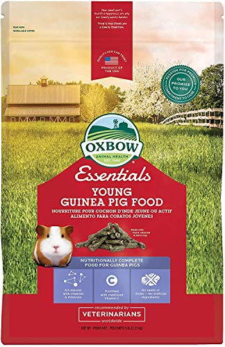 Petlife Oxbow Cavy Performance Komplettfutter für junge Meerschweinchen, 2,2 kg von Oxbow