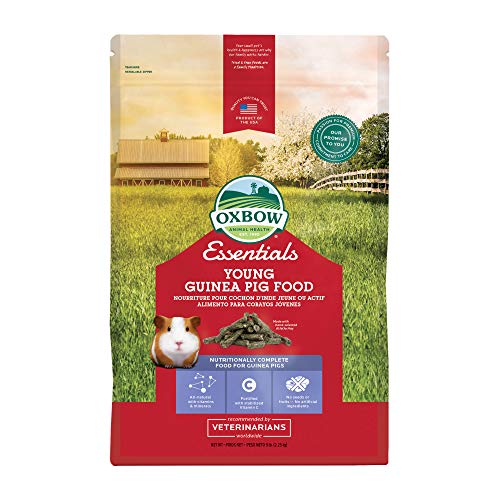 Petlife Oxbow Cavy Performance Komplettfutter für junge Meerschweinchen, 2,2 kg von Oxbow