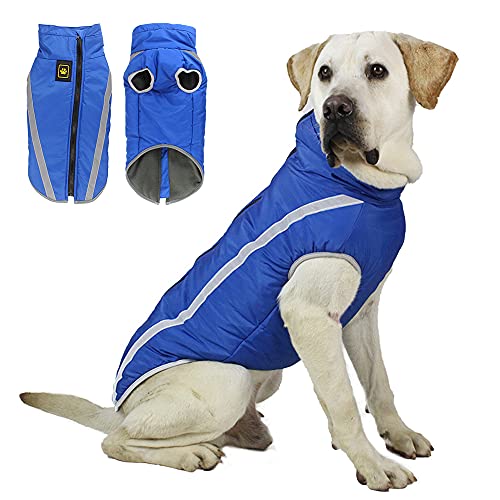 Winter-Hundejacke, Haustiermantel, winddicht, wasserdicht, wendbar, für kaltes Wetter, Hundekleidung für mittelgroße und große Hunde, Blau, XXX-Large von Cdipesp